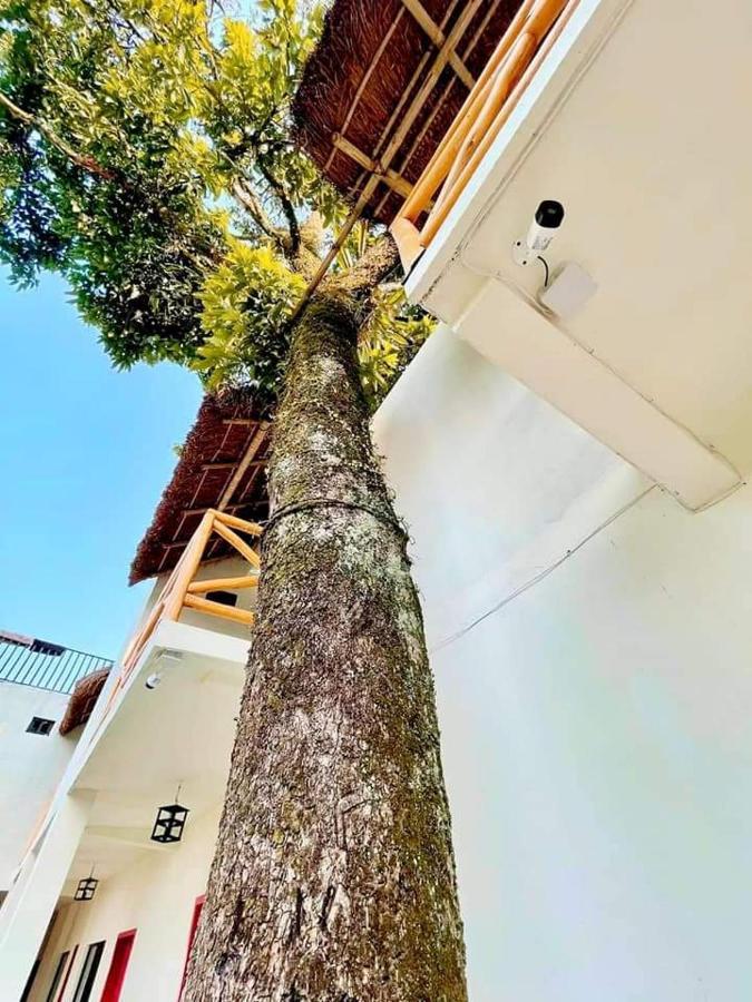 Hotel Sierra Linda سيليتلا المظهر الخارجي الصورة